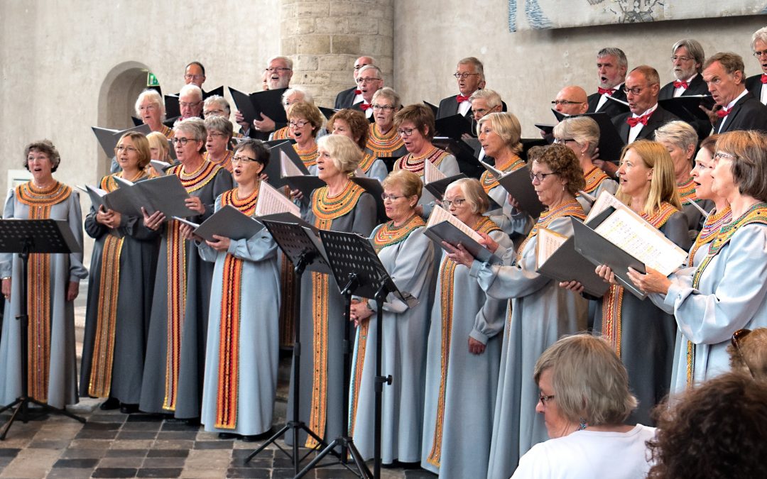 Middelburg Vólkoren 2023